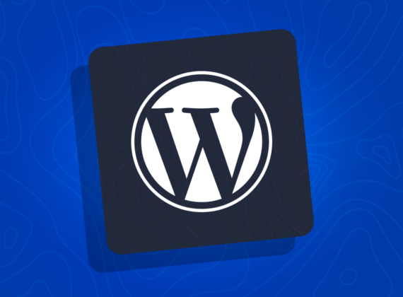 Nossa imagem do curso de wordpress